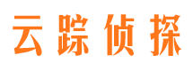 武江市侦探调查公司